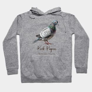 Rock Pigeon - The Bird Lover Collection Hoodie